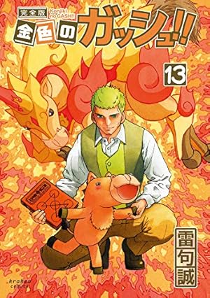 金色のガッシュ!! 完全版(14) | 雷句 誠 |本 | 通販 | Amazon